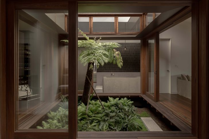 Unfolding like origami from the pitch of the original roof, the design places a fern-filled courtyard at the centre of the home.