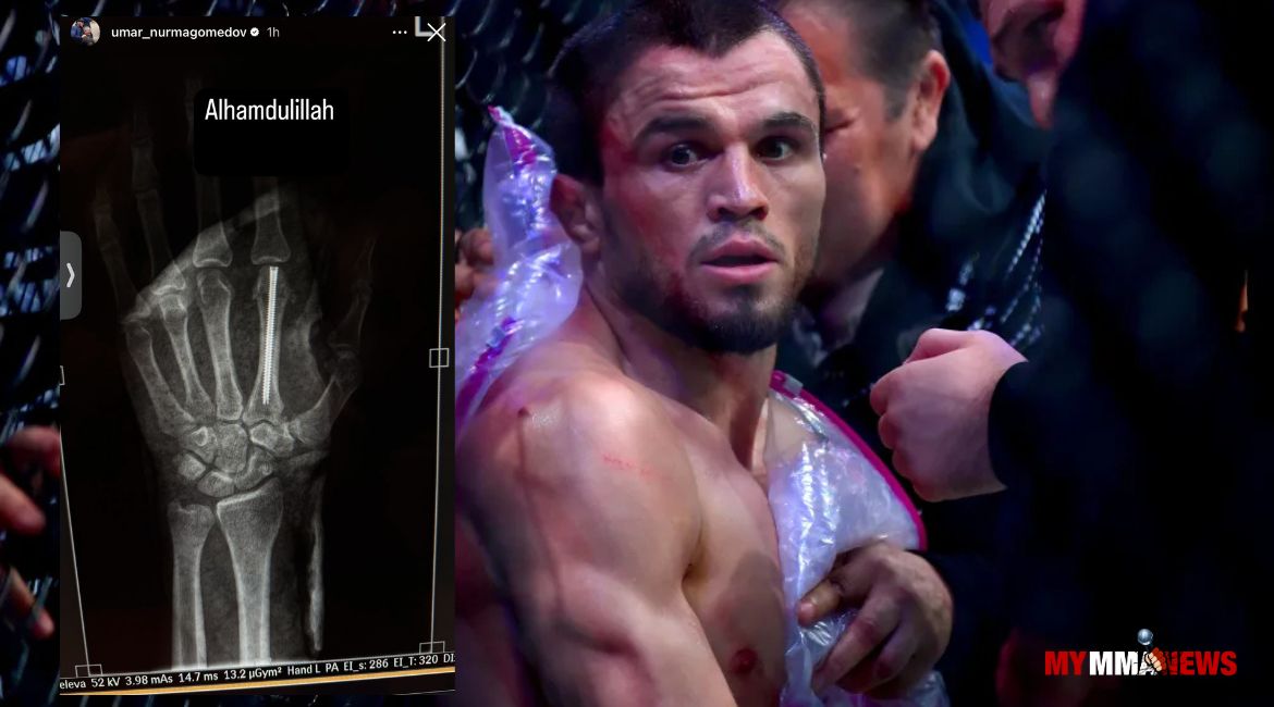 Umar Nurmagomedov - My MMA News Umar Nurmagomedov