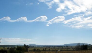 A scalloped cloud in a blue sky.