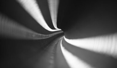 Worms navigate narrow paths faster than wide ones – these findings could inform robot design