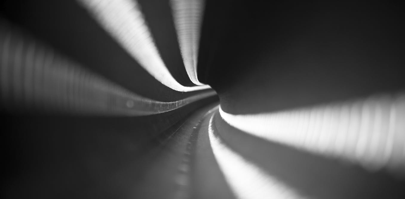 Worms navigate narrow paths faster than wide ones – these findings could inform robot design