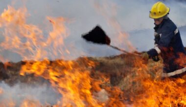 Over 75% of UK wetlands have been destroyed – restoring them would help prevent wildfires
