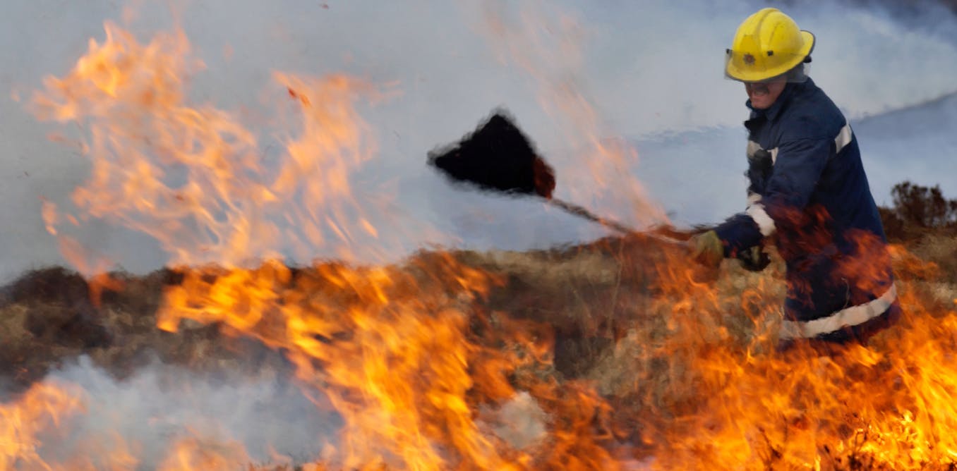 Over 75% of UK wetlands have been destroyed – restoring them would help prevent wildfires