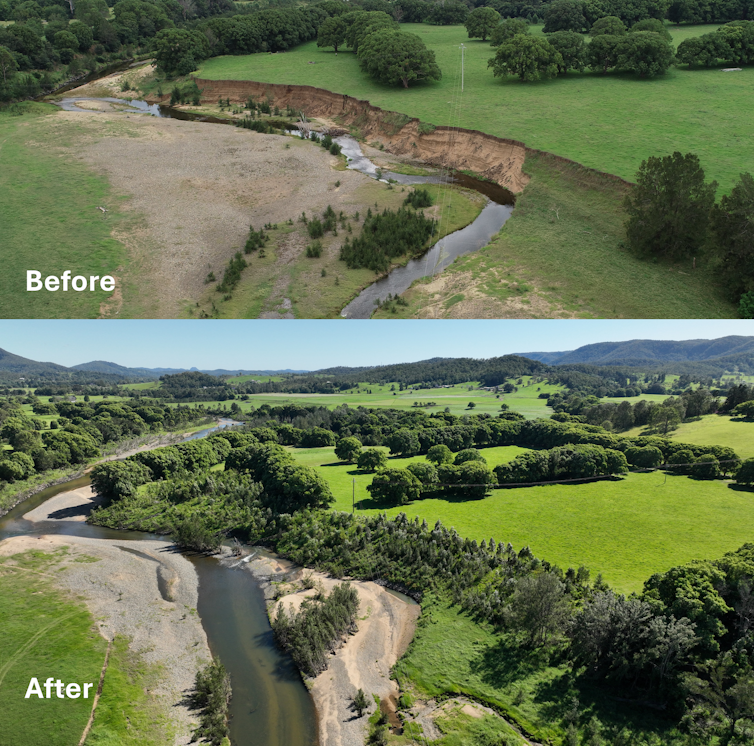An example of riverbank stabilisation and revegetation over four years to reduce sediment erosion