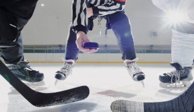 Photo of hockey game