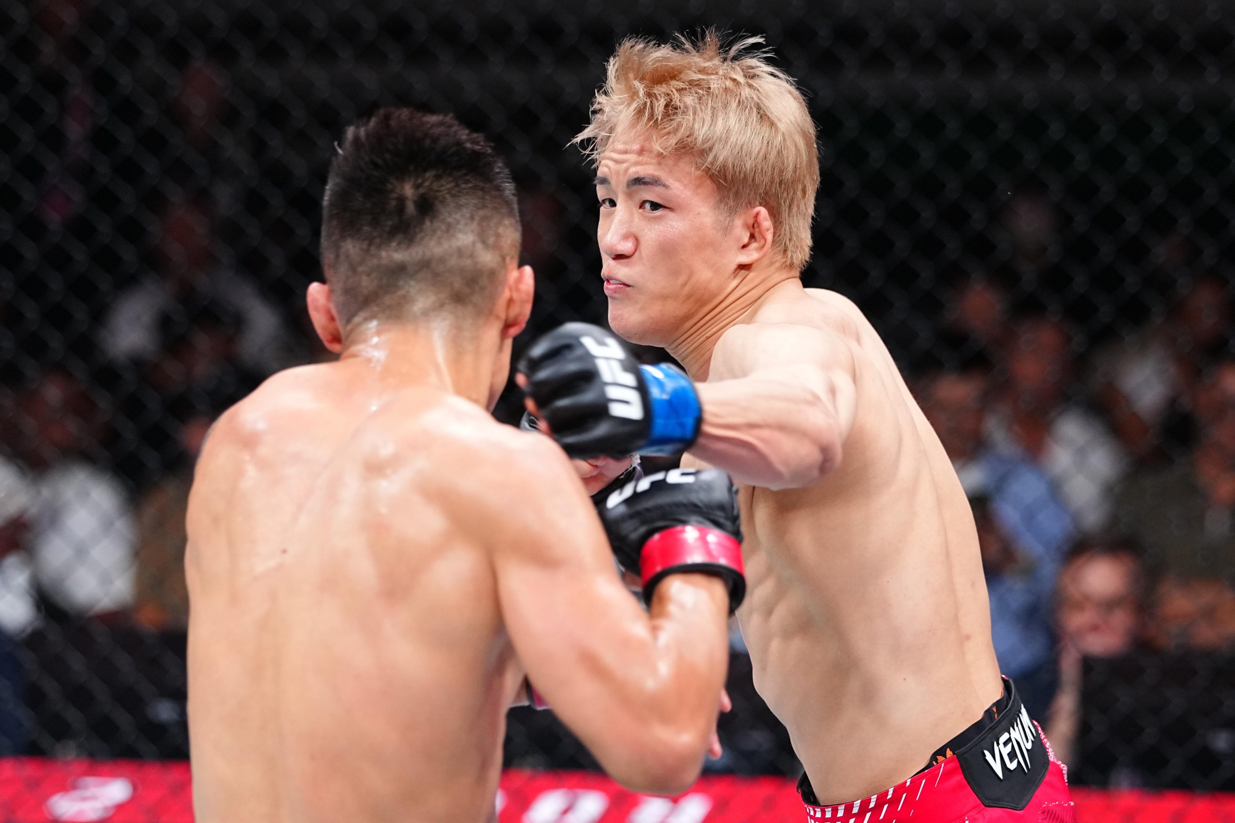 SHANGHAI, CHINA - AUGUST 29: Kai Asakura of Japan punches Aoriqileng of China in a bantamweight fight during the UFC Fight Night event at SPD Bank Oriental Sports Center on August 29, 2026 in Shanghai, China. (Photo by Chris Unger/Zuffa LLC)