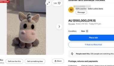 eBay responds to Woolworths shopper's outrageous $100 million Ooshie auction
