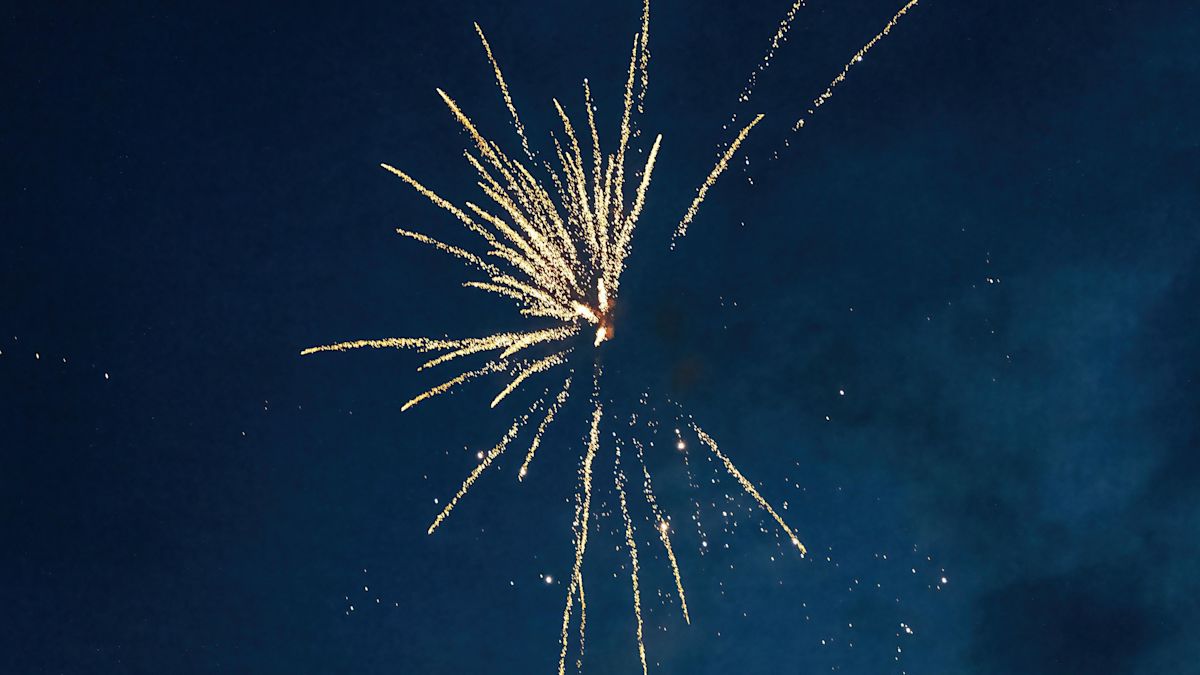 Cricketers banned over 'irresponsible' fireworks