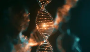 Scientists found two mysterious ‘ghost’ ancestors hiding in our DNA