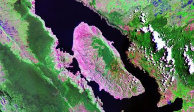 False colored image of a oval-shaped lake with a large island in it.