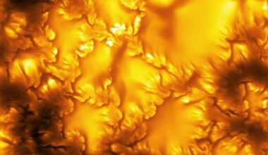 Inouye Solar Telescope Discovers Hidden Plasma Vortices on Sun
