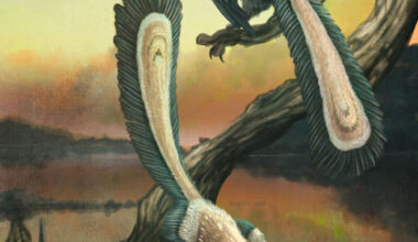 An illustration of Archaeopteryx. Image credit: Mark Witton.