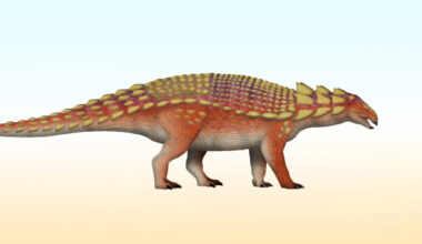 New Species of Armored Dinosaur Identified in Japan