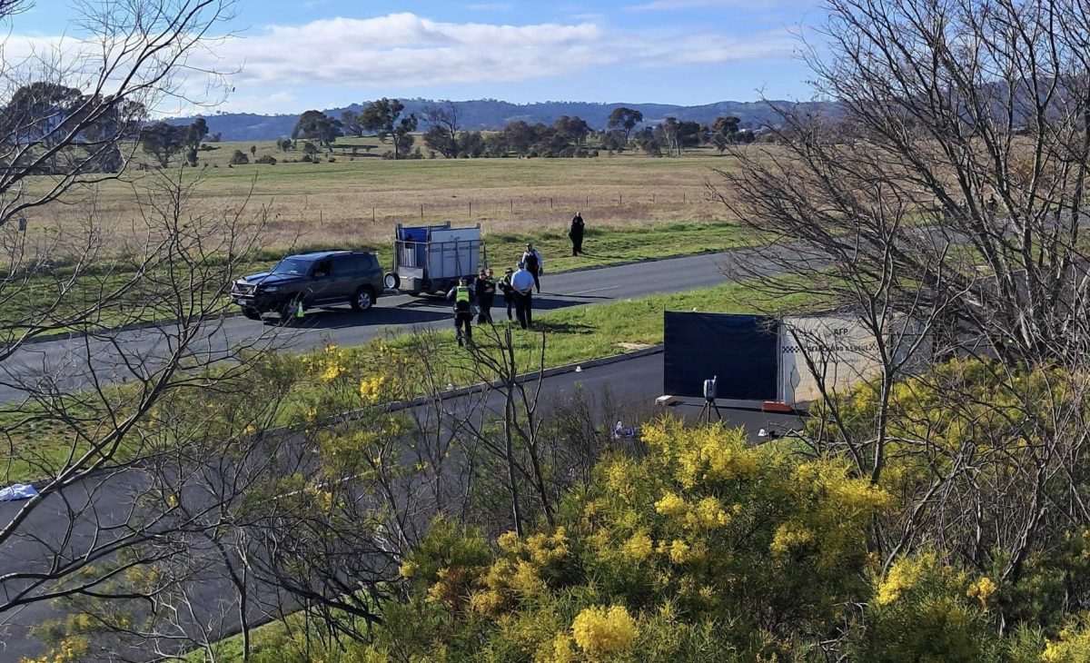 police at a car crash