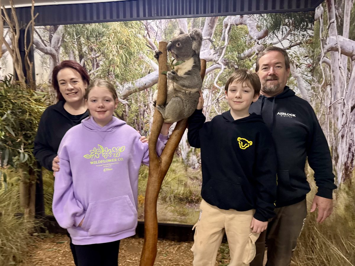 family with a koala