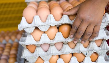 1 In 2 Indians Eat Protein Daily But Confusion Persists: Report