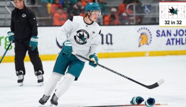 Top prospects for San Jose Sharks