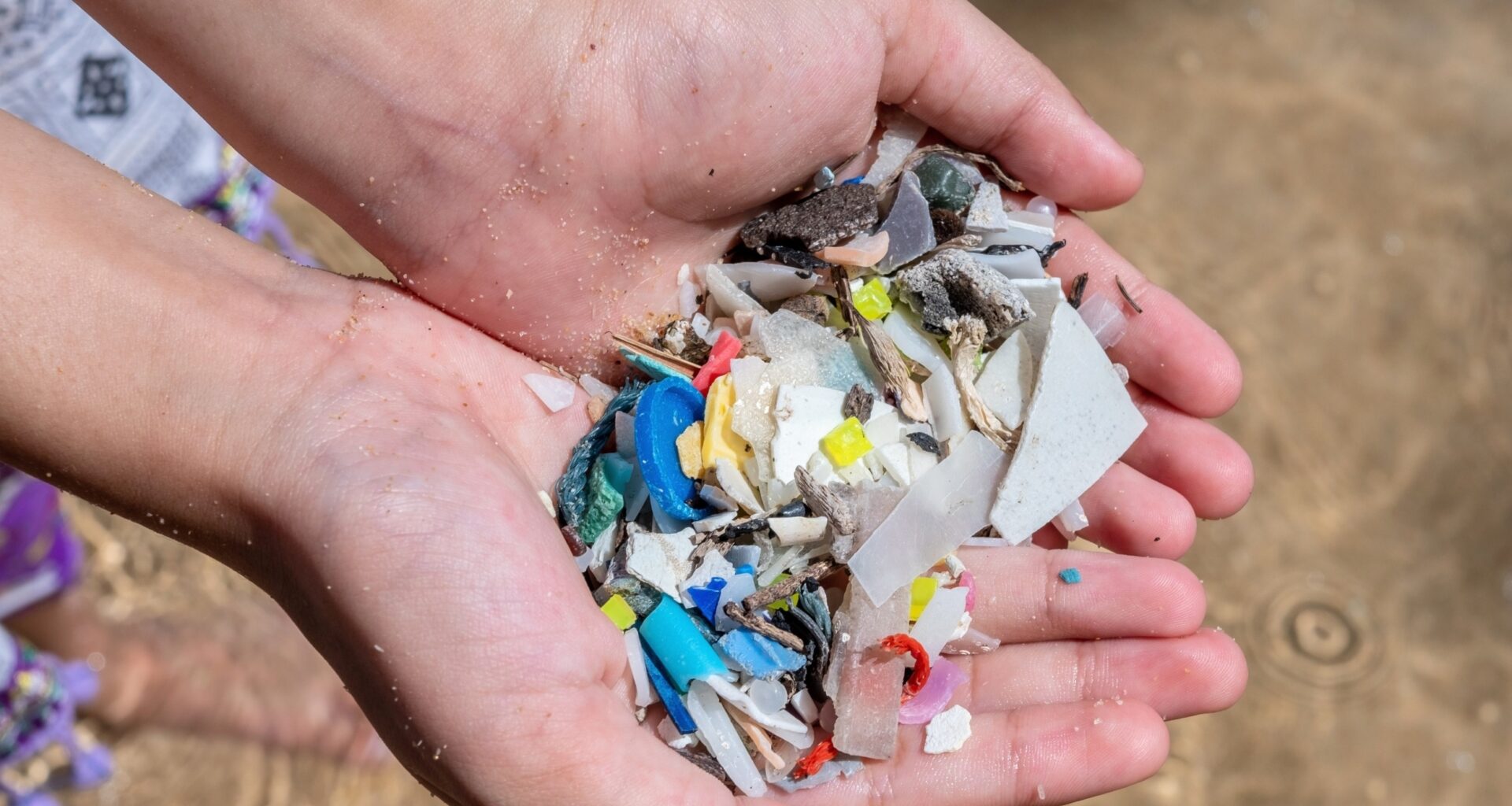 Fluffy seaweed-inspired nets capture microplastics of every size