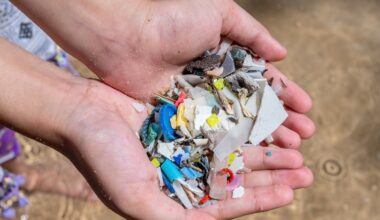 Fluffy seaweed-inspired nets capture microplastics of every size
