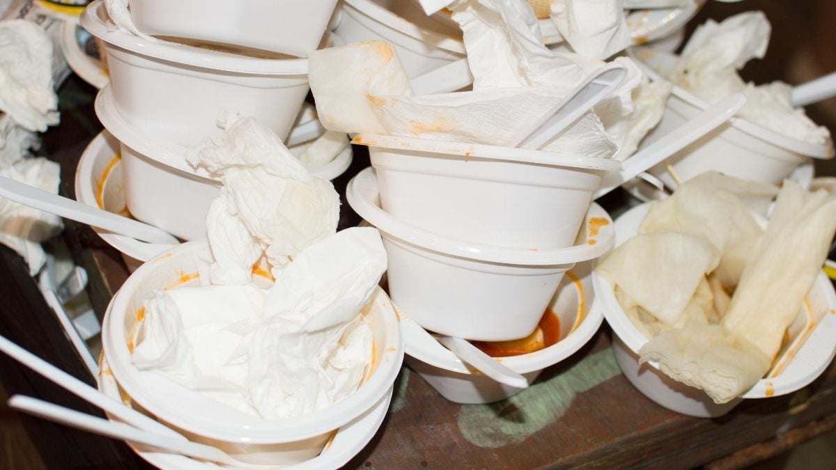 The Clearest Evidence Yet That a Common Plastic Increases Risk of Fatty Liver Disease : ScienceAlert