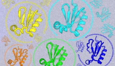 Looking Beyond Natural Sequences | Mirage News