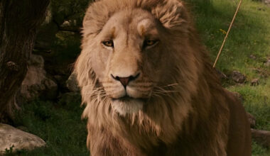 More Filming Underway On Gerwig's "Narnia"