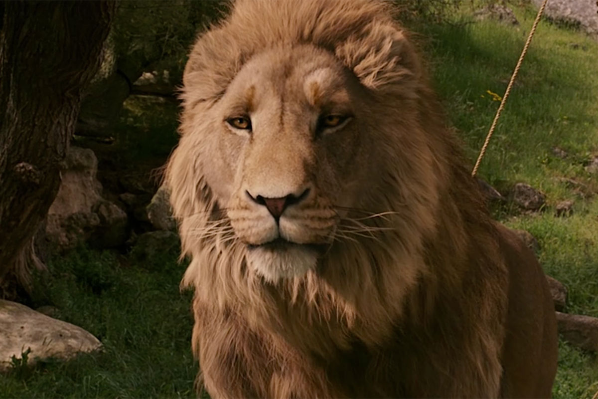 More Filming Underway On Gerwig's "Narnia"