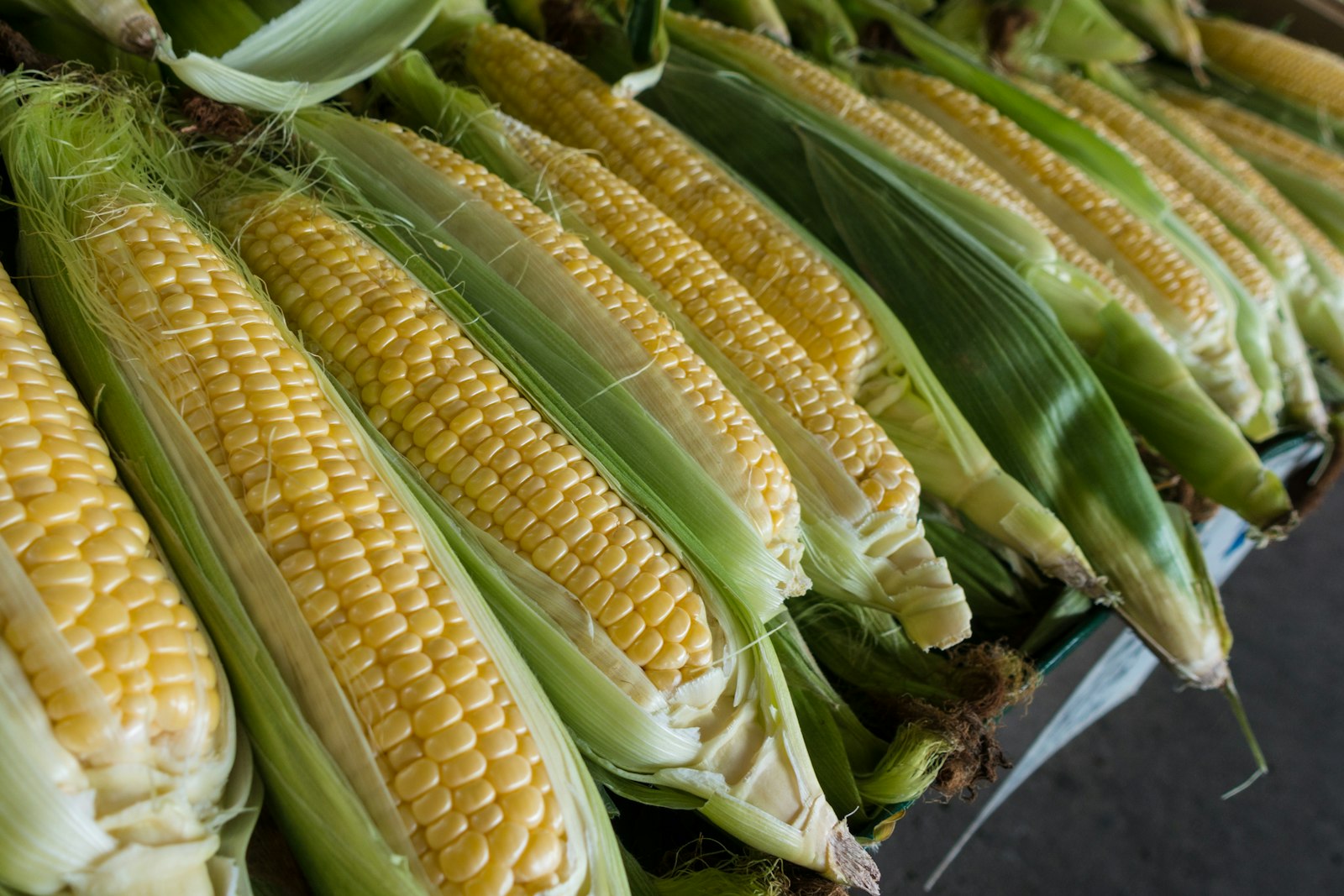 Wednesday's FTB: August means corny new rules