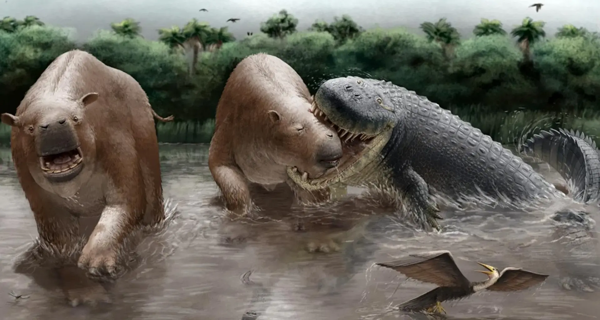 This 23-foot crocodylian may have ruled South America’s food chain