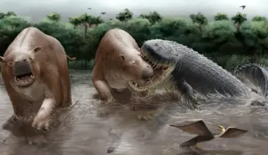 This 23-foot crocodylian may have ruled South America’s food chain