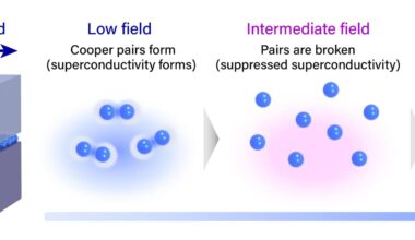 Magnetic field first kills superconductor, then brings it back to life – Physics World