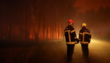 Wildfires force thousands to flee as blazes spread across Europe | Climate News