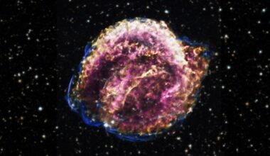 Kepler's Supernova scattered debris across space as its giant star ended in an explosion. Credit: NASA/CXC/SAO/DSS/D. Patnaude