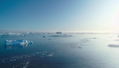 What Would Happen If All The Ice In The Ocean Melted