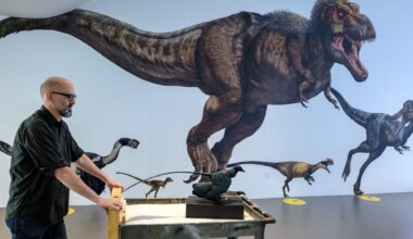 Scientists discover why tiny dinosaurs never roamed the Earth