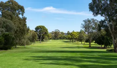 The exact number of trees to be cut down on the golf course in Adelaide is unknown, court officials said