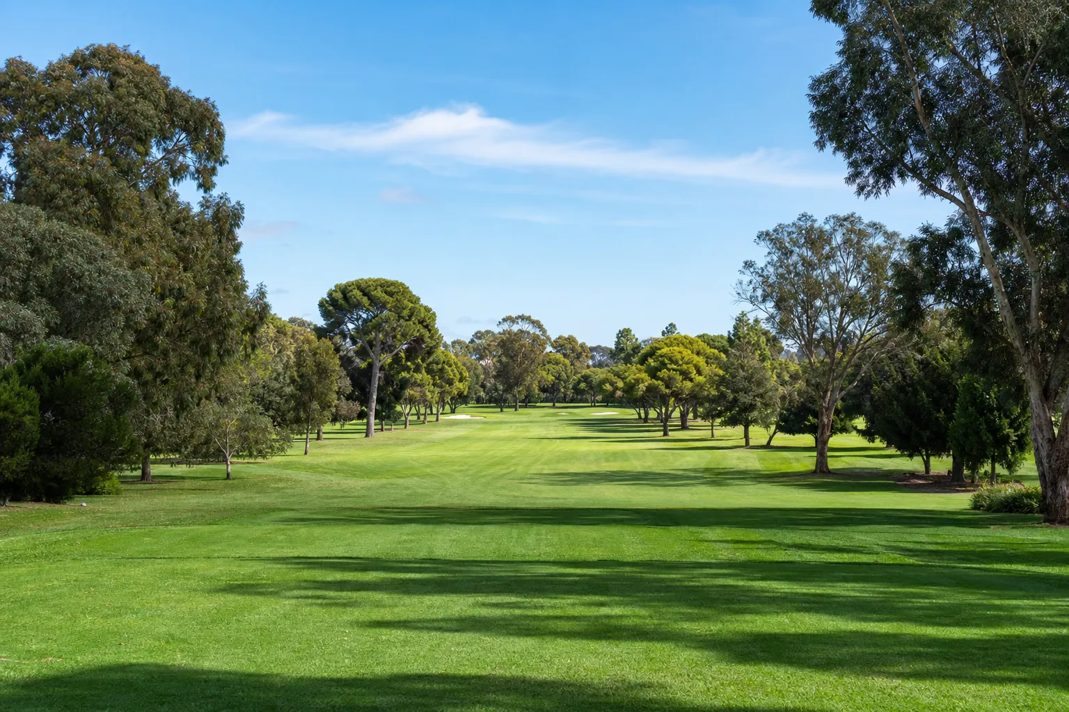 The exact number of trees to be cut down on the golf course in Adelaide is unknown, court officials said