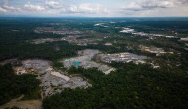 Amazon nations carry out major multinational crackdown on environmental crime