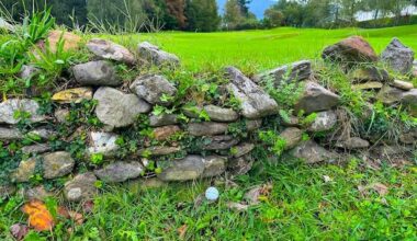 Rules of Golf Review: With no room for a backswing, he still advanced his ball forward from near a stone wall. Is that allowed?