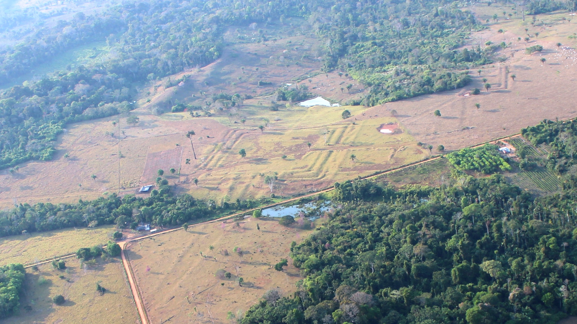 aerial image of a geometric geoglyph in a heavily forested area of Brazil