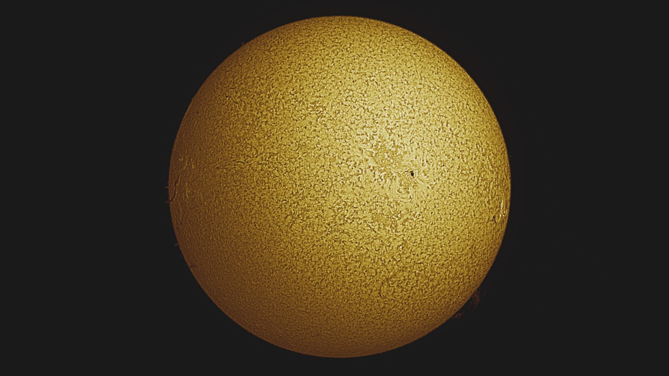 The entire solar disk in wrinkled gold colour surrounded by black background, as imaged by the ZWO ASI174mm mono camera.