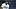 Tampa Bay Rays outfielder Chandler Simpson