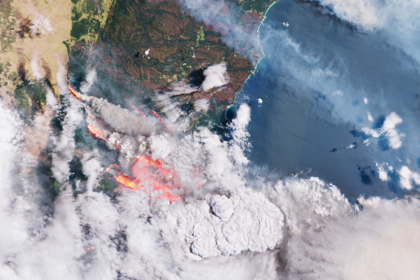 Satellite image of flames and smoke 