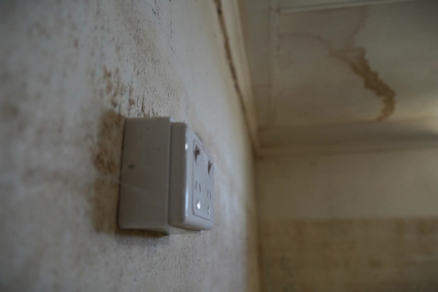 A light switch on an unpainted interior wall. 