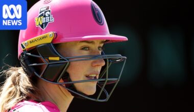 Ellyse Perry says current women's cricket schedule hurts game's development