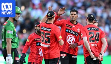 Cricket Australia agrees to bring private investment to Big Bash