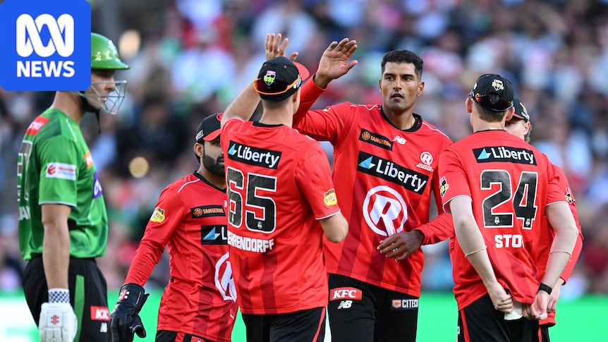 Cricket Australia agrees to bring private investment to Big Bash