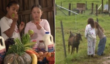 Confronting new survey reveals Aussie kids think food comes from factories, supermarkets and even McDonald’s – not farms