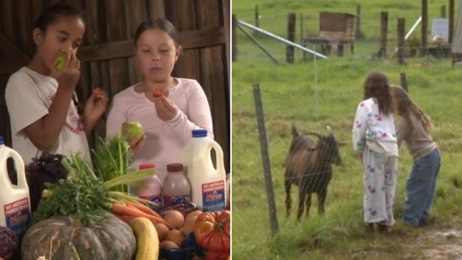 Survey results show that some kids do not know where their food comes from