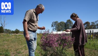 From vines to vegetation, property becomes safe haven for an endangered bird species
